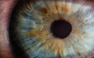 Iridology: An Insight into Your Health Through the Eyes
